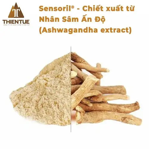 sensoril-chiet-xuat-tu-nhan-sam-an-do-sensoril-ashwagandha-extract