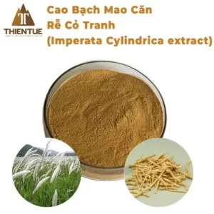 cao-bach-mao-can-re-co-tranh-imperata-cylindrica-extract