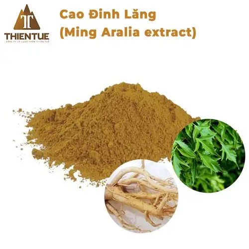 cao-dinh-lang-ming-aralia-extract