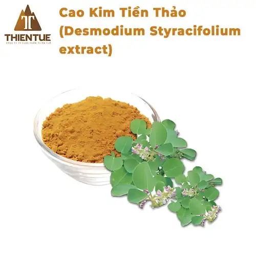 cao-kim-tien-thao-desmodium-styracifolium-extract