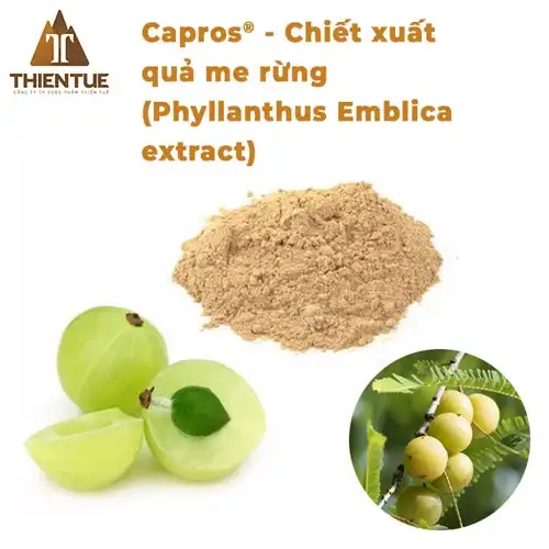 capros-chiet-xuat-qua-me-rung-phyllanthus-emblica-extract