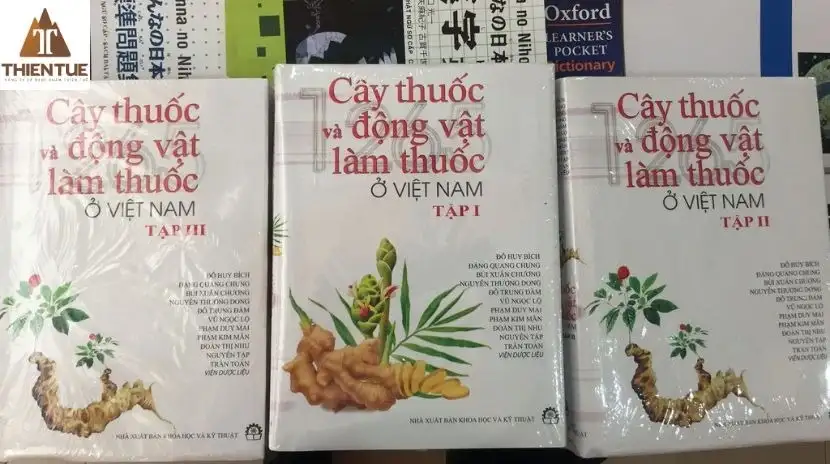 cay-thuoc-va-dong-vat-lam-thuoc-o-viet-nam-thien-tue