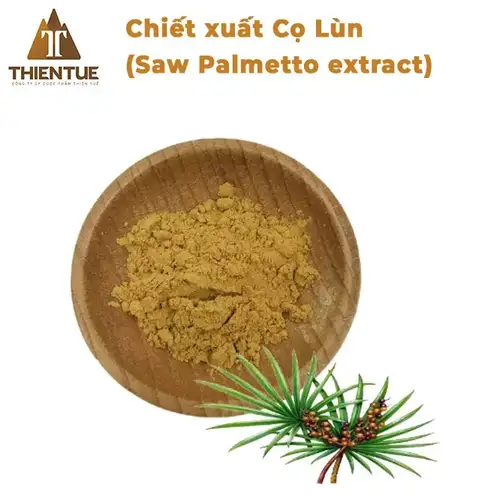 chiet-xuat-co-lun-saw-palmetto-extract