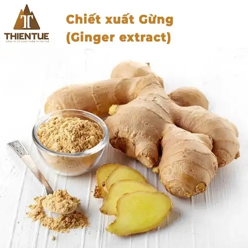 chiet-xuat-gung-ginger-extract