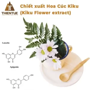 chiet-xuat-hoa-cuc-kiku-kiku-flower-extract