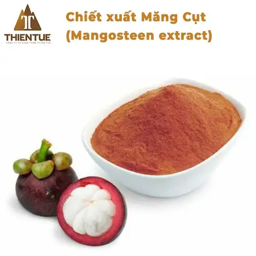 chiet-xuat-mang-cut-mangosteen-extract