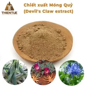 chiet-xuat-mong-quy-devil-claw-extract