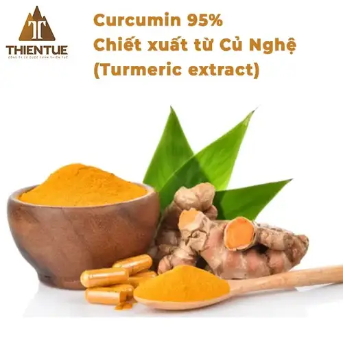 curcumin-95-chiet-xuat-tu-cu-nghe-curcumin-95-turmeric-extract