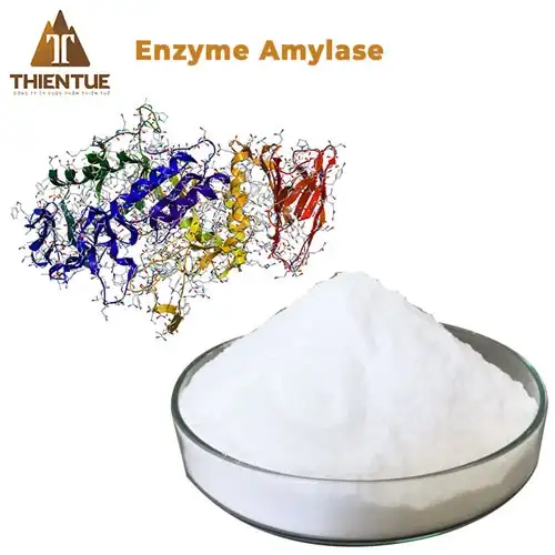 enzyme-amylase