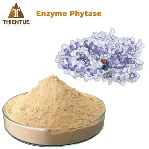 enzyme-phytase
