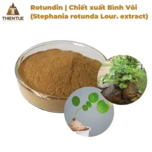 rotundin-chiet-xuat-binh-voi-stephania-rotunda-lour-extract